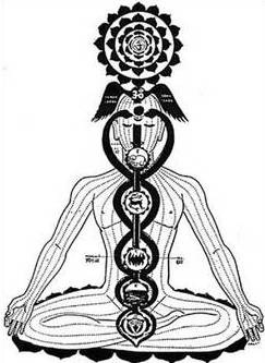 איור המתאר את עליית הקונדליני, המומשלת לנחשים, במעלה הצ'אקרות, מרכזי האנרגיה של הגוף