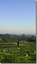 חסיד מתבודד בבית הקברות היהודי במז'יבוז'