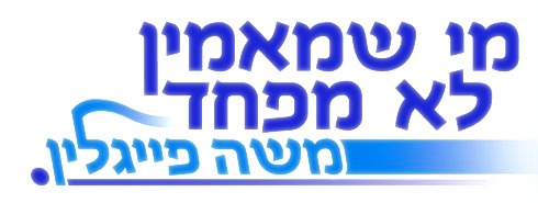 פרסום של פייגלין לקראת הפריימריס על ראשות הליכוד