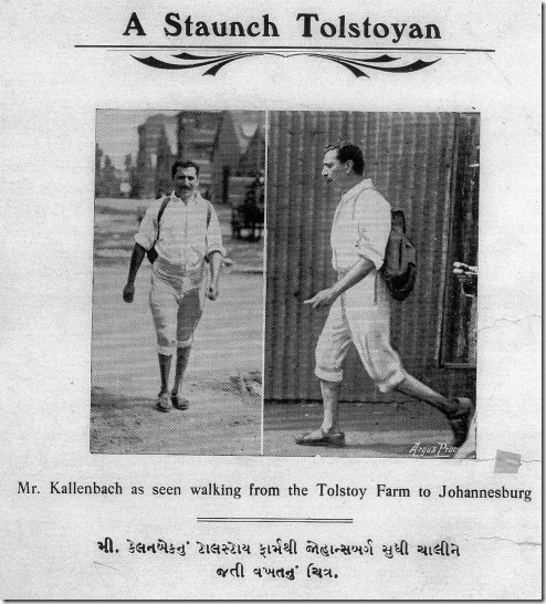 קלנבך כ"טולסטויני אדוק", Indian Opinion May 11 1912 קלנבך כ"טולסטויני אדוק", Indian Opinion May 11 1912