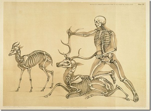 A Comparative View of the Human and Animal Frame by Benjamin Waterhouse Hawkins, 1860 A Comparative View of the Human and Animal Frame by Benjamin Waterhouse Hawkins, 1860