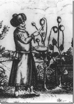 חריטה מהמאה ה-17 המתארת אסיפת העסיס מפירות צמחי הפרג, לצורך הפקת אופיום. "A pipe is the fountain of contemplation, the source of pleasure, the companion of the wise; and the man who smokes, thinks like a philosopher and acts like a Samaritan." - Edward George Bulwer-Lytton, 1st Baron Lytton (1803 - 1873) חריטה מהמאה ה-17 המתארת אסיפת העסיס מפירות צמחי הפרג, לצורך הפקת אופיום. "A pipe is the fountain of contemplation, the source of pleasure, the companion of the wise; and the man who smokes, thinks like a philosopher and acts like a Samaritan." - Edward George Bulwer-Lytton, 1st Baron Lytton (1803 - 1873)