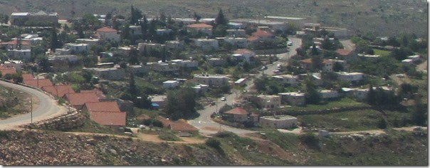 אלון מורה, צילום של אבישי טייכר אלון מורה, צילום של אבישי טייכר