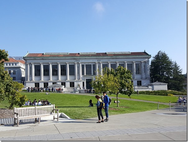 ספריית האוניברסיטה